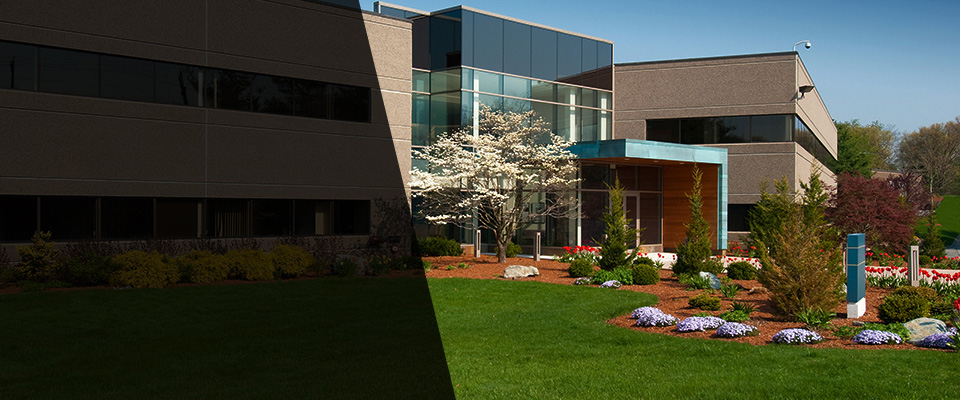 Ronan Landscapers