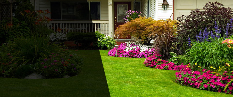 Ronan Landscapers