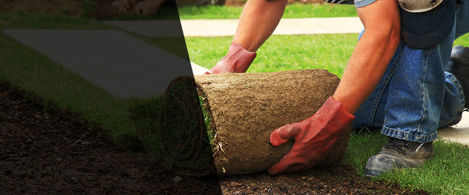Ronan Landscapers